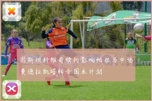 因斯坦科维奇续约影响帕尔马中场曼德拉凯塔转会国米计划