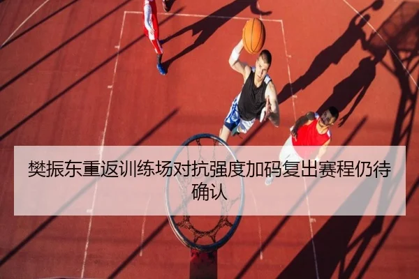 樊振东重返训练场对抗强度加码复出赛程仍待确认